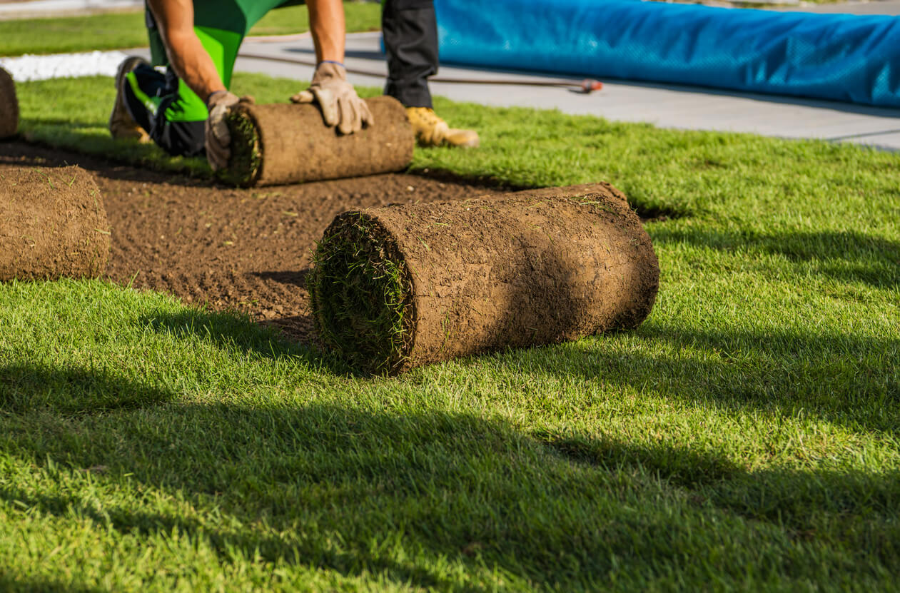 Professional sod installation service in Ocean County NJ - fresh lawn transformation